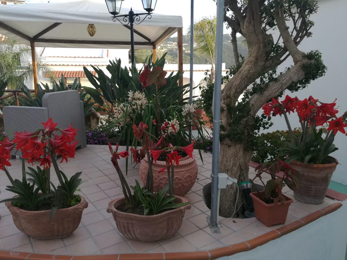 Villa Loreta Forio  ภายนอก รูปภาพ