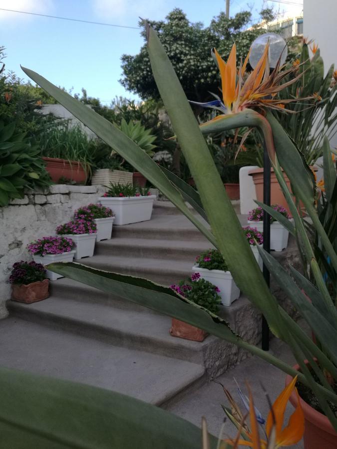 Villa Loreta Forio  ภายนอก รูปภาพ