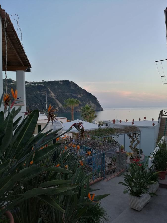Villa Loreta Forio  ภายนอก รูปภาพ
