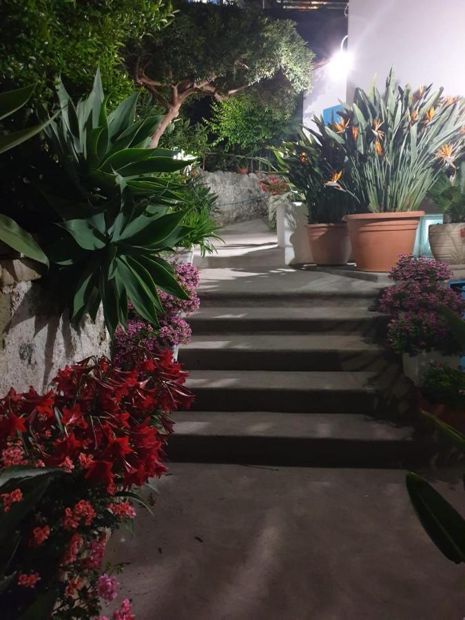 Villa Loreta Forio  ภายนอก รูปภาพ